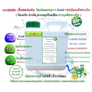 ไตรโคเดอร์มา + บีเอส +ฮอร์โมนพืชทางใบ เชื้อสดชนิดน้ำ เข้มข้น พร้อมใช้ ป้องกัน กำจัดโรคพืชและบำรุงฮอร์โมนพืชทางใบ