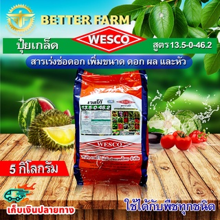 บรรจุ 5 กิโลกรัม WESCO ปุ๋ย 13.5-0-46.2 โพแทสเซียมไนเตรท จี-ฟาสต์ ปุ๋ยเกล็ด เวสโก้ สารเร่งช่อดอก เพิ่มขนาด ดอก ผล และหัว