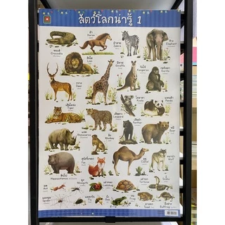 Aksara for kids โปสเตอร์ หุ้มพลาสติก ติดผนัง สัตว์ 1