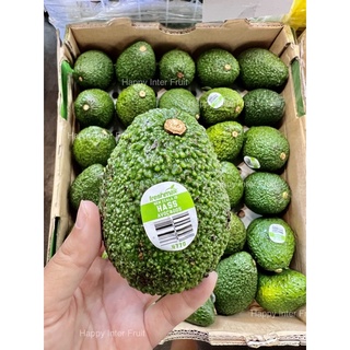 🥑Avocado Freshmax สายพันธุ์แฮส Hass 🥑 ✨นำเข้าจากประเทศนิวซีแลนด์🇳🇿 ✨พรีเมียม เกรด✨