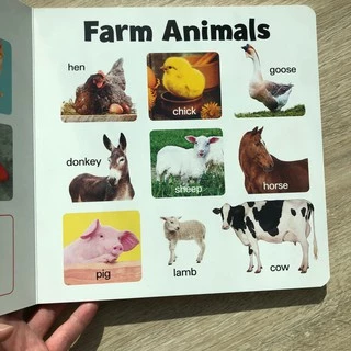 หนังสือบอร์ดบุ๊ค board book คำศัพท์ ภาพจริง กระดาษหนา ฉีกไม่ขาด 9 หมวด