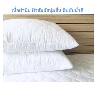***แพ็คคู่*** ซองกันเปื้อนหมอน ปลอกกันเปื้อนหมอน มีซิป ขนาด 20x30 นิ้ว Blue sleep