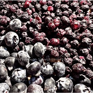บลูเบอรี่ Freeze Dried ขนาด 7 กรัม กระรอก นก กระต่าย แพรี่ด็อก สำหรับสัตว์เลี้ยง