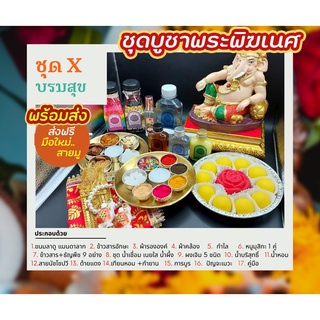 ชุด X ชุดเศรษฐีใหม่ ถวายพระพิฆเนศ (ไม่เสียค่าส่ง)