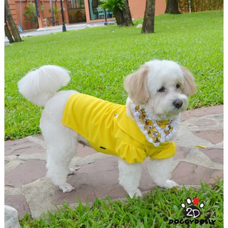 Pet clothes -Doggydolly  เสื้อผ้าแฟชั่น เสื้อผ้าสัตว์เลี้ยง เสื้อผ้าหมาแมว เสื้อยืด  T546