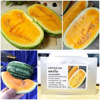 เมล็ดพันธุ์ แตงโมเทนเดอร์สวีท (Tendersweet Watermelon Seed) บรรจุ 25 เมล็ด คุณภาพดี ราคาถูก ของแท้ 100%