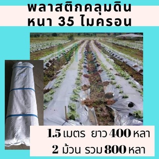 พลาสติกคลุมดิน 1.5เมตร 35ไมครอน (2ม้วน) 800 หลา คลุมแปลงผักกันวัชพืช