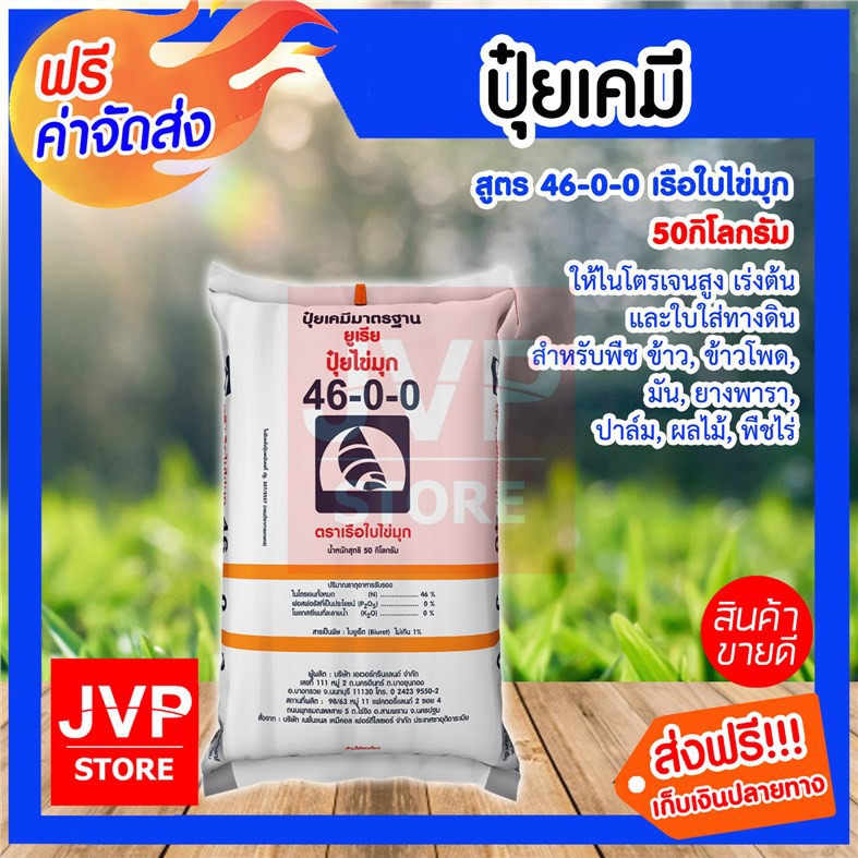 My Image 41