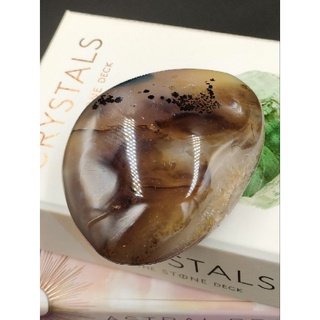 🍀 หิน ควาติก แพลนท์ อาเกต ( Aquatic Plants Agate ) / 👑น้ำหนัก 168 กรัม 
🌟 ชิ้นนี้เป็นผลึกด้านข้างด้วยสวยมากๆ