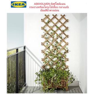 Ikea ​✴️แท้ ASKHOLMEN อัสค์โฮล์มเมน กระถางพร้อมโครงไม้เลื้อย กลางแจ้ง, ย้อมสีน้ำตาลอ่อน