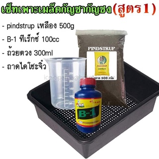 เซ็ทเพาะ (สูตร 1) - pindstrup เหลือง 500g - B-1 ทีเร็กซ์ 100cc - ถ้วยตวง 300ml - ถาดไดโซะจิ๋ว