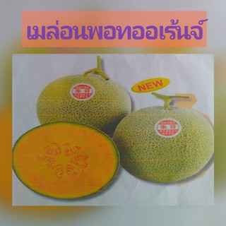 เมล่อน POT ORANGE 10 เมล็ด