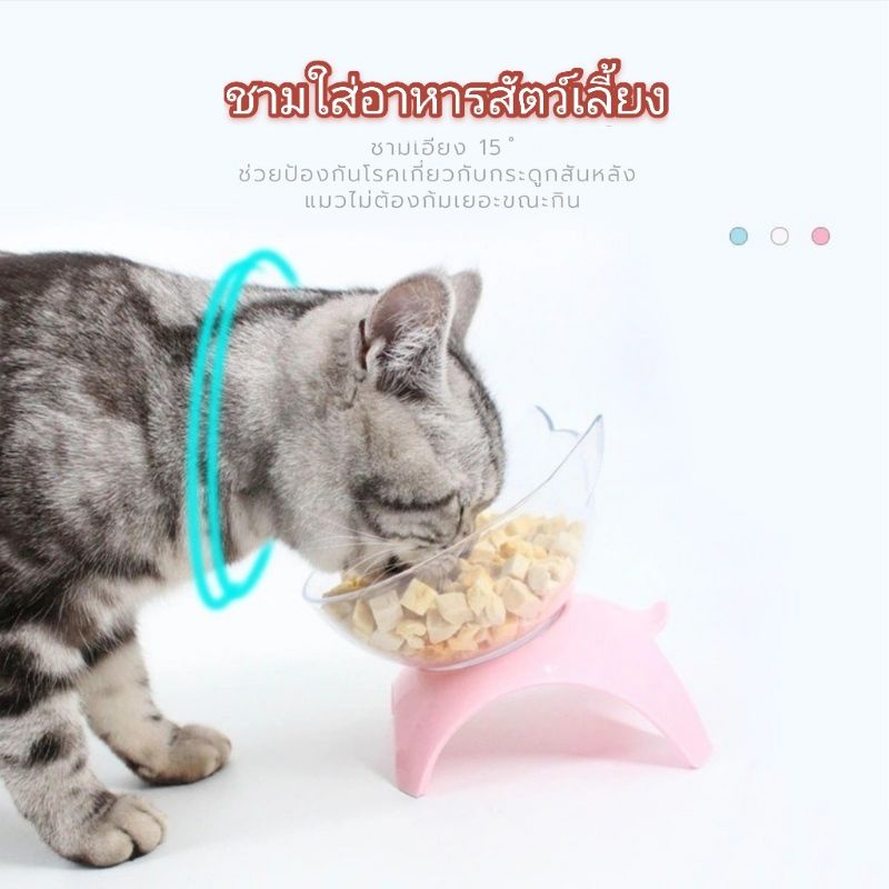 Fidoz​ factory​ ชามอาหารสัตว์เลี้ยง เอียง15 องศาแบบใส​ ชามแมว​ ชามสุนัข​ ที่ให้​อาหารสัตว์​เลี้ยง​