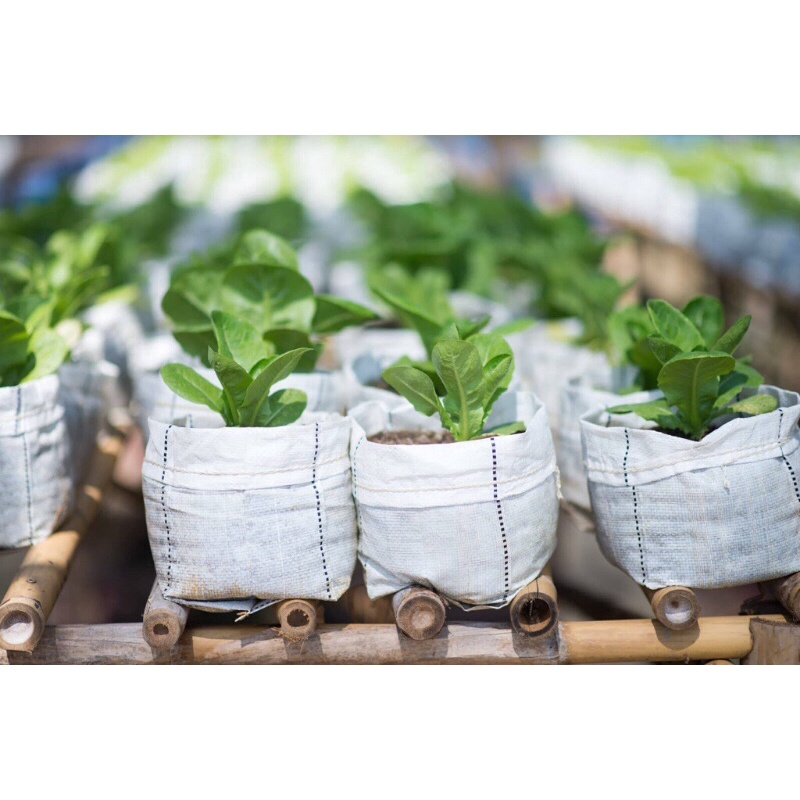 กระสอบปลูกผัก ​ ขนาด​ 5"x8" ไม่เย็บขอบปาก​  ปลูกสลัด​ หรือพืชที่อายุสั้นๆ​ ถุงเพาะชำ​ ถุงปลูกผัก​ พร