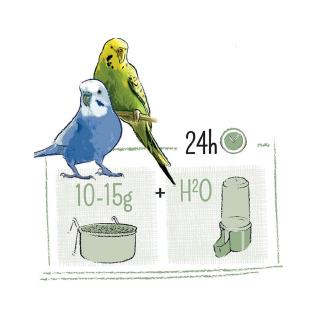 PUUR Budgie อาหารนกหงษ์หยก ธัญพืช ผลไม้รวม มากกว่า 31ชนิด สารอาหารครบถ้วน บำรุงขนและช่วยระบบย่อย (750g.)