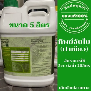 ทิพย์พฤกษาฝาเขียว สารจับใบ ขนาด 5 ลิตร (แกลลอน) **ล็อตใหม่ ส่งไว เก็บเงินปลายทาง