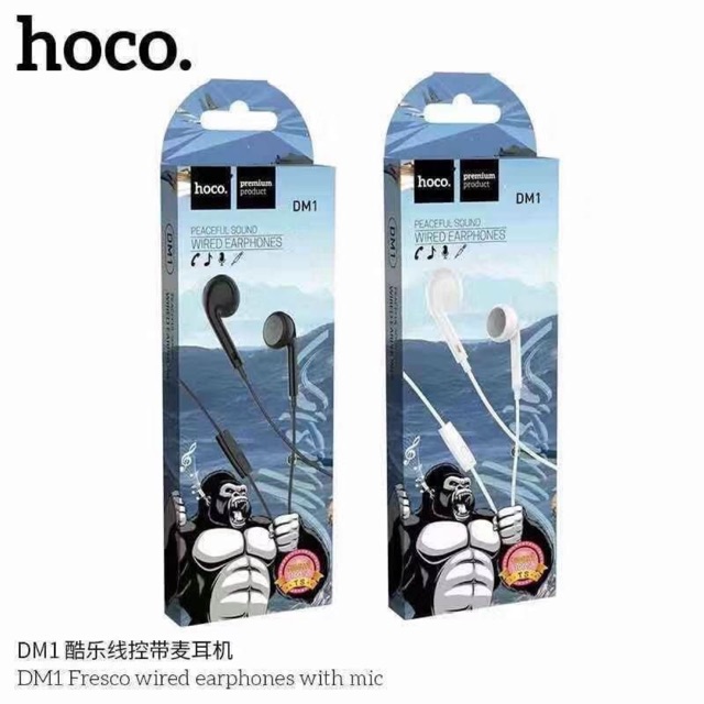 Hoco dm1