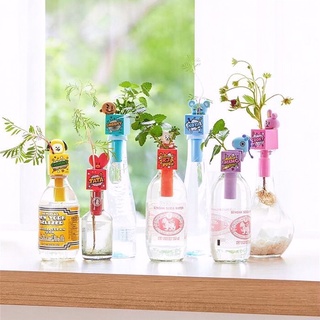 ชุดพร้อมปลูก ลุ้นเมล็ดพันธุ์! บีทีเอส บังทัน BTS BT21 x Green Toy Vegetable Cultivation in Plastic Bottle All-in-one Kit