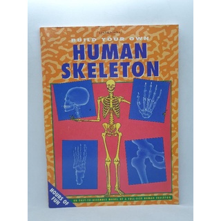 Build Your Own ,Human Skeleton an easy to assemble model of a full size human slkeleton-157