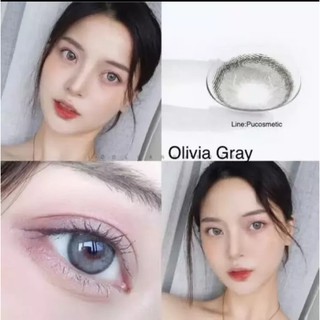 1 คู่ บิ๊กอายตาโต ค่าสายตา -6.00 สีเทา ลายสวย ลายฮิตtiktok สายฝอ รุ่น Mini Olivia Gray by Pitchylens