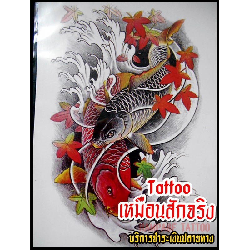 My Image 48