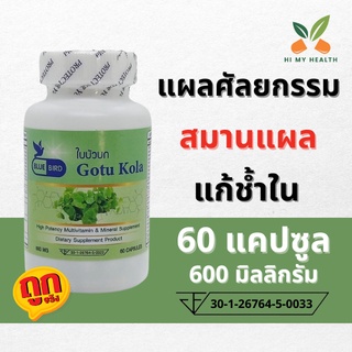 ใบบัวบก Gotu Kola สมานแผล แก้ช้ำใน ขนาด 600 มิลลิกรัม 60 แคปซูล ตรา บลูเบิร์ด Bluebird