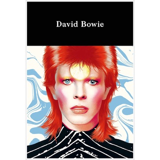 โปสเตอร์ David Bowie เดวิด โบวี่ Poster แต่งคอนโด ตกแต่งห้อง รูปภาพติดห้อง ตกแต่งผนัง ภาพภ่าย ของขวัญ โปสเตอร์ติดผนัง