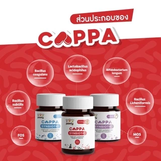 Pawly Cappa (สำหรับแมว) ดูแลลำไส้ เสริมภูมิ ขับถ่ายดี ลดกลิ่นมูล - [1กระปุก - 30แคปซูล]