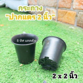 กระถาง ปากแตร ก.กลม 2 นิ้ว // กด 50 ใบ 82 บาท -- กระถางแคคตัส กระบองเพชร กระถางพลาสติก