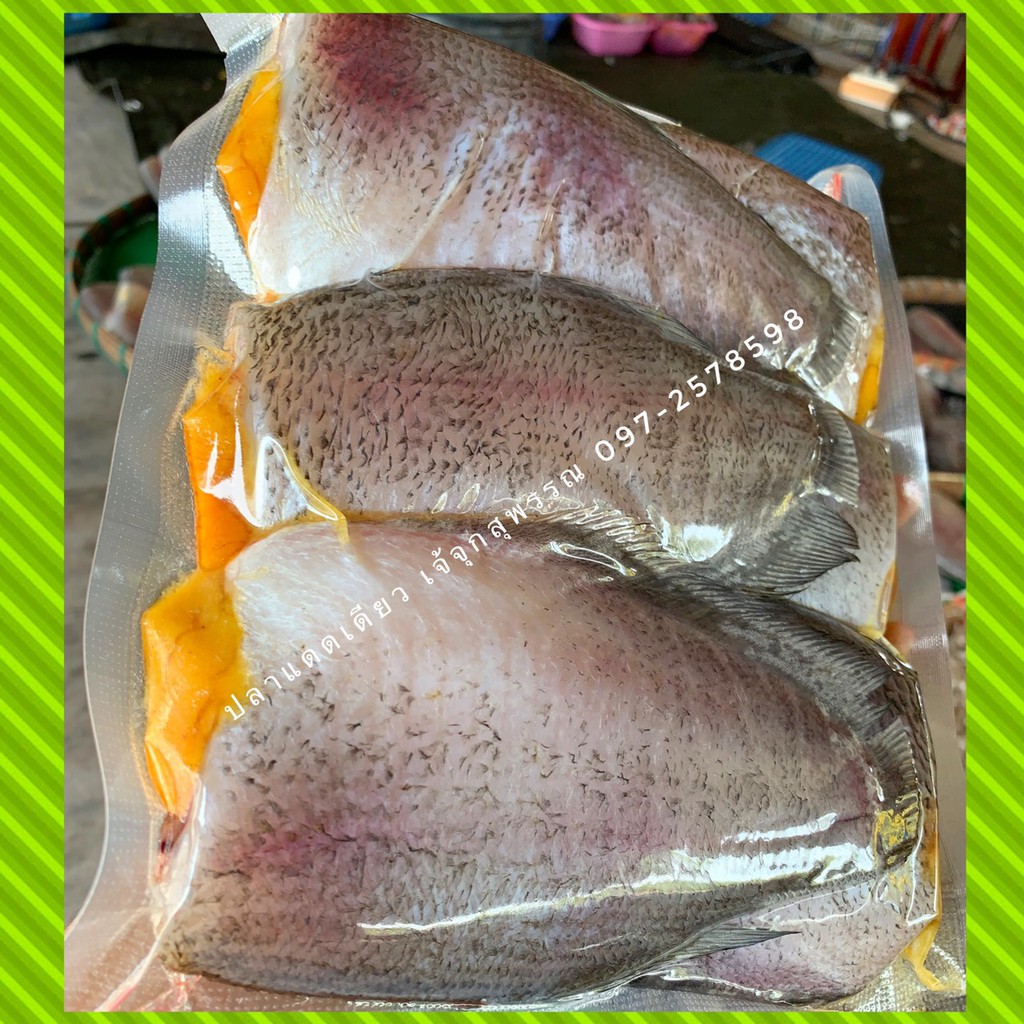 รูปภาพ 7