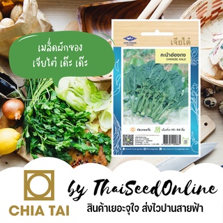 CTOP เมล็ดพันธุ์ คะน้าฮ่องกง 1100 เมล็ด ตราเจียไต๋ Chinese Kale (Chinese Broccoli)