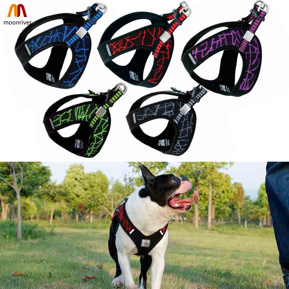 dog collar kerchiefs