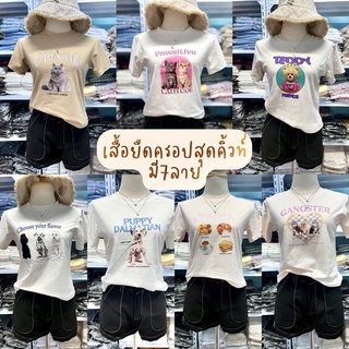 เสื้อยืดครอปผู้หญิง สุดคิ้วท์ ลายน้องหมาน้องแมว ลายน่ารักมาก มี7ลาย