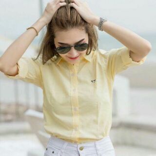 Shirt cotton