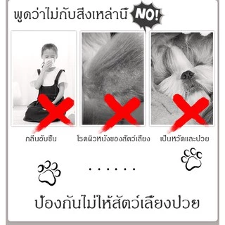 เปลสัตว์เลี้ยง โซฟาสุนัข ที่นอนสุนัข ที่นอนสัตว์เลี้ยง เตียงสุนัข ที่นอนสุนัข แบบยกสูง เตียงระบายอากาศ M L XL