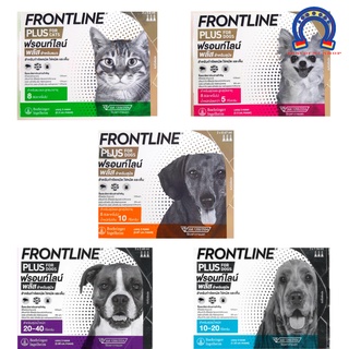 Frontline plus กำจัดเห็บหมัด สุนัข แมว หมา ฟรอนท์ไลน์ เห็บ หมัด