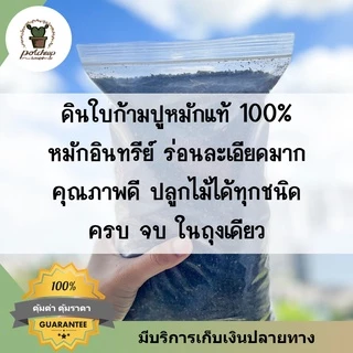 ดินใบก้ามปูหมัก ร่อนละเอียด ดินปลูกต้นไม้ทุกชนิด บอนสี ไม้ด่าง แคคตัส ผัก สมุนไพร พร้อมปลูกทันที