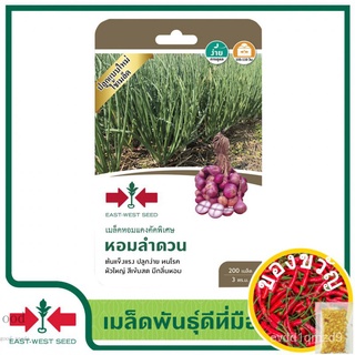 เมล็ดอวบอ้วน100%East-West Seed เมล็ดพันธุ์หอมแดง Shallot seeds) หอมลำดวน เมล็ดพันธุ์ผัก เมล็ดพันธุ์ ผักสวนครัว ตราศรแดงเ