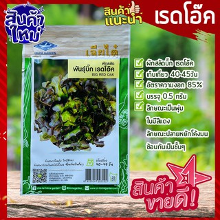 เจียไต๋ 🥦 เรดโอ๊ค 500 เมล็ด red oak  ผักสลัด เมล็ดสลัดบิ๊ก เรดโอ๊ค