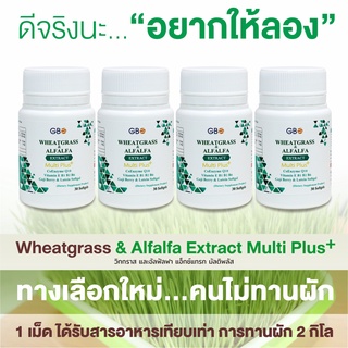 ** โปร 4 กระปุก 120 เม็ด ** ผักเม็ด Wheatgrass &amp; Alfalfa Extract Multi Plus+ Q10 (ฟรีค่าส่ง)