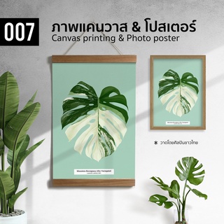 007 ภาพวาดสีน้ำ มอนสเตอร่าด่าง Monstera Albo ภาพพิมพ์ แคนวาส โปสเตอร์ โฟโต้ และสติ๊กเกอร์ PVC