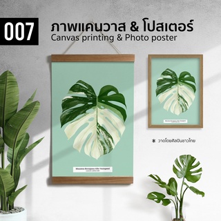 007 ภาพวาดสีน้ำ มอนสเตอร่าด่าง Monstera Albo ภาพพิมพ์ แคนวาส โปสเตอร์ โฟโต้ และสติ๊กเกอร์ PVC