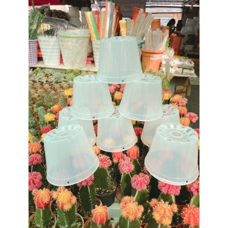กระถางใส ขนาด 4นิ้ว มองเห็นรากได้