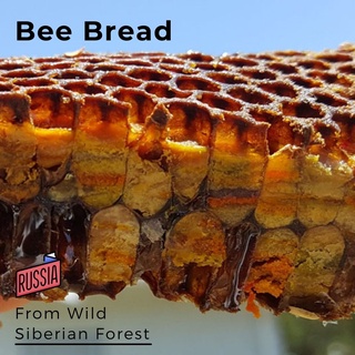 Bee Bread- Fermented Bee Pollen (Ambrosia / Perga) 100g from Siberian Forest. แอมโบรเซีย เกสรผึ้งหมัก