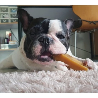 ชีสแท่งนมจามรี ไซส์ M+ /Himalayan Dog Chew Large Size (yak cheese)