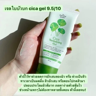 (แบบซอง/หลอด) เดอะ ชาร์มมิ่ง การ์เด้น ซิก้า รีไวทัลไลซิ่ง เจล - The Charming Garden Cica Revitalizing Gel