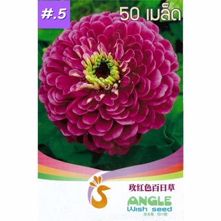 เมล็ดดอกบานชื่น คละสี 50เมล็ดเมล็ด  (สีม่วง)บานชื่นซ้อน Zinnia Flower  เมล็ดพันธุ์นำเข้า   พันธุ์แท้100%  FL-02401