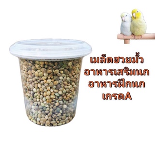 ฮวยมั้ว อาหารเสริมนก อาหารฝึกนก เกรดA ขนาด100/200และ300กรัม