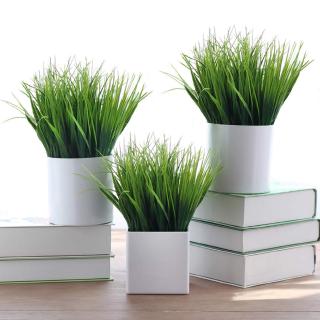 【Ready Stock】Artificial Plastic 7 Branches Grass Green Plant/Fake Grass Office Home Garden Wedding Decoration