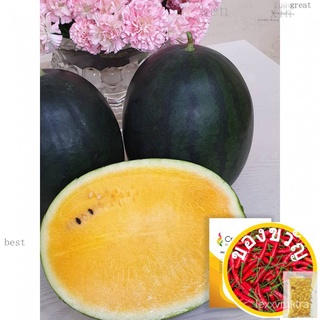 BIJI BENIH TEMBIKAI ORANGE NAGA F1/WATERMELON ORANGE NAGA F1 SEEDS(8 SEEDS-REPACK CROP POWER)花园/文胸/男装/手链/通心菜/裙子/内裤/母婴/向日